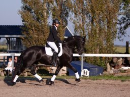 IMG_7324_web